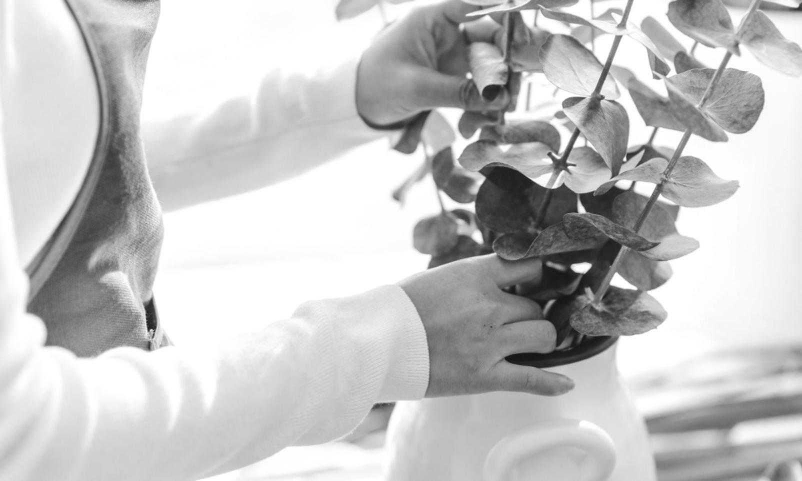 Вибір постачальника для натуральних букетів: на чому зазвичай помиляється бізнес